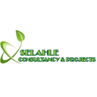 Selahle Consultancy  And Projects (Pty)Ltd logo, Selahle Consultancy  And Projects (Pty)Ltd contact details