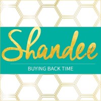 Shandee Virtual Assistants logo, Shandee Virtual Assistants contact details