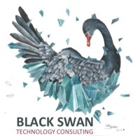 Black Swan Technology Consulting logo, Black Swan Technology Consulting contact details