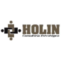 HOLIN Consultoría Estratégica S.C. logo, HOLIN Consultoría Estratégica S.C. contact details