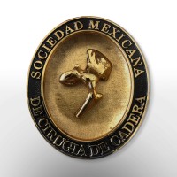 Sociedad Mexicana de Cirugía de Cadera logo, Sociedad Mexicana de Cirugía de Cadera contact details