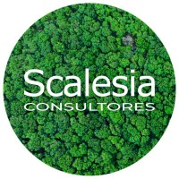 Scalesia Consultores logo, Scalesia Consultores contact details