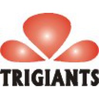 Trigiants Technology Co., Ltd logo, Trigiants Technology Co., Ltd contact details