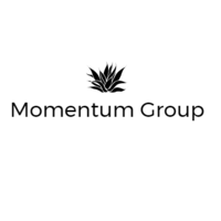 Momentum Group International logo, Momentum Group International contact details