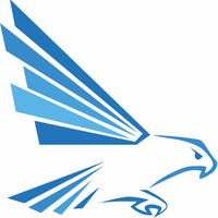 Blue Falcon Consulting Group logo, Blue Falcon Consulting Group contact details