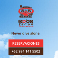 Koox Diving logo, Koox Diving contact details