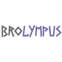 BROLYMPUS SA DE CV logo, BROLYMPUS SA DE CV contact details