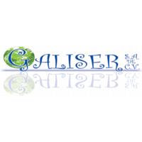 GALISER, S.A. de C.V. logo, GALISER, S.A. de C.V. contact details