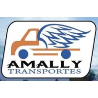 Transporte Amally logo, Transporte Amally contact details