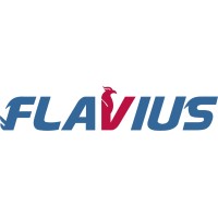 Flavius Corporate Advisors logo, Flavius Corporate Advisors contact details