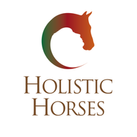 HOLISTIC HORSES Corporate Approach logo, HOLISTIC HORSES Corporate Approach contact details