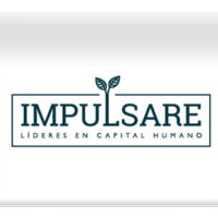 IMPULSARE logo, IMPULSARE contact details