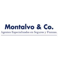 Montalvo and Co logo, Montalvo and Co contact details