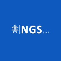 NGS IMPORTACIONES logo, NGS IMPORTACIONES contact details