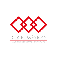 CAE México logo, CAE México contact details