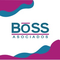 BOSS Asociados logo, BOSS Asociados contact details