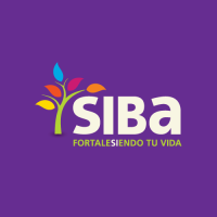 SIBA Consultores logo, SIBA Consultores contact details