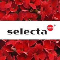 Selecta One - North America logo, Selecta One - North America contact details