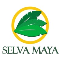 Autobuses Selva Maya logo, Autobuses Selva Maya contact details