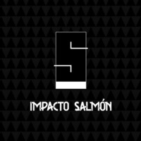 Impacto Salmón logo, Impacto Salmón contact details