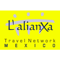 LTN Mexico logo, LTN Mexico contact details