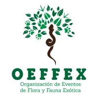 OEFFEX logo, OEFFEX contact details