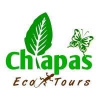 Chiapas Eco Tours logo, Chiapas Eco Tours contact details