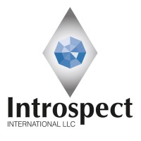 Introspect International LLC logo, Introspect International LLC contact details