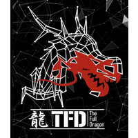 TFD CONSULTING GROUP logo, TFD CONSULTING GROUP contact details