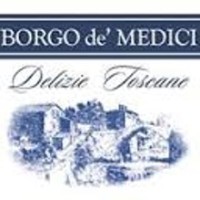 BORGO DE  MEDICI S.R.L. logo, BORGO DE  MEDICI S.R.L. contact details