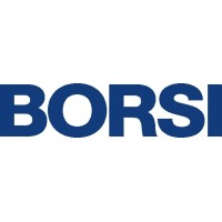 Borsi GmbH & Co. KG logo, Borsi GmbH & Co. KG contact details