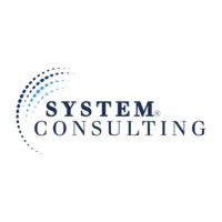 System Consulting Srl logo, System Consulting Srl contact details