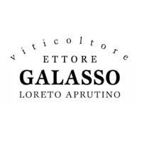 ETTORE GALASSO logo, ETTORE GALASSO contact details