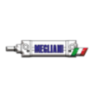 Megliani Luigi S.r.l logo, Megliani Luigi S.r.l contact details