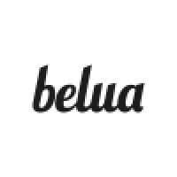 Belua Systems Ltd logo, Belua Systems Ltd contact details