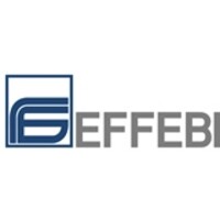 Effebi S.p.A. logo, Effebi S.p.A. contact details