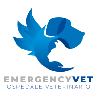 Emergency Vet Ospedale Veterinario logo, Emergency Vet Ospedale Veterinario contact details