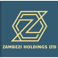 Zambezi Belt Initiative Holdings Limited logo, Zambezi Belt Initiative Holdings Limited contact details