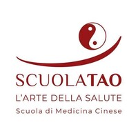 ScuolaTao Sagl logo, ScuolaTao Sagl contact details