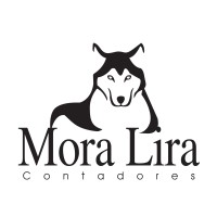 Mora Lira y Gonzalez Marcos Consultores SC logo, Mora Lira y Gonzalez Marcos Consultores SC contact details