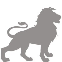 Lion IT Solutions LLC logo, Lion IT Solutions LLC contact details