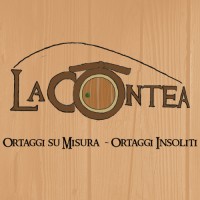 LA CONTEA - ORTAGGI SU MISURA logo, LA CONTEA - ORTAGGI SU MISURA contact details