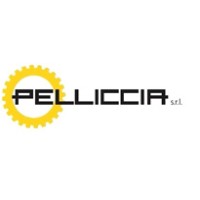 PELLICCIA S.R.L. logo, PELLICCIA S.R.L. contact details