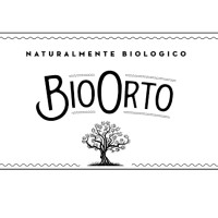 BioOrto logo, BioOrto contact details