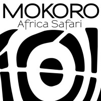 MOKORO TOURS logo, MOKORO TOURS contact details