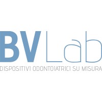 BV LAB S.R.L. UNIPERSONALE logo, BV LAB S.R.L. UNIPERSONALE contact details