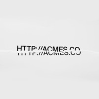 Acmes Co. logo, Acmes Co. contact details