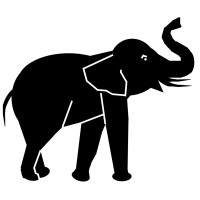 The Black Elephant logo, The Black Elephant contact details