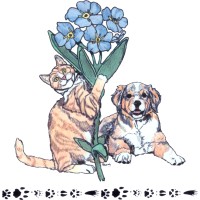 Forget Me Not Animal Shelter logo, Forget Me Not Animal Shelter contact details