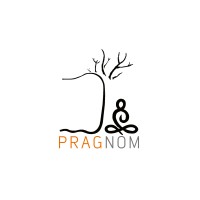 PRAGNOM DESIGNS logo, PRAGNOM DESIGNS contact details